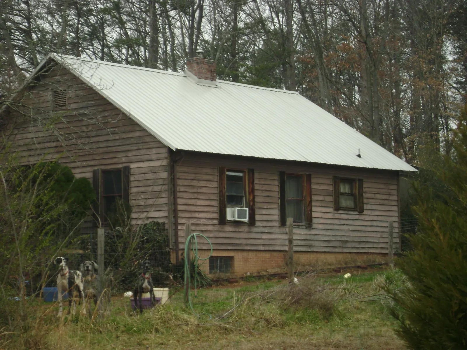 White metal roof on an old wood sided farmhouse, from a Asphalt Shingle Roof Repair job in Punta Gorda